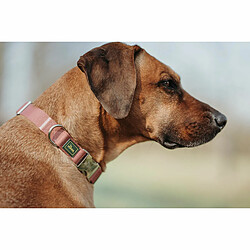 Avis Collier pour Chien Hunter Inari Rouge M 30-45 cm