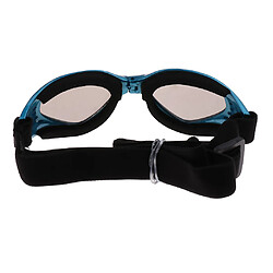 lunettes de soleil pour animaux de compagnie uv lunettes de soleil anti-vent lunettes protection contre l'usure des yeux bleu