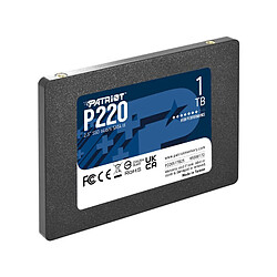 Acheter Disque dur Patriot Memory P220 1 TB SSD