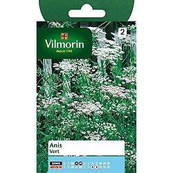 Acheter Vilmorin 5871546 Pack de Graines Anis Vert