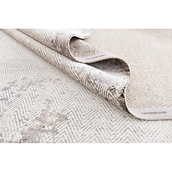 Acheter Vidal Tapis 275x185 gris Airolo