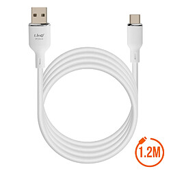 LinQ Câble USB vers USB C 5A Charge et Synchronisation Longueur 1.2m Blanc pas cher