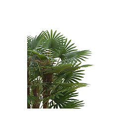 Avis Vente-Unique Arbre artificiel palmier - H.93 cm - Vert - RHAPIS