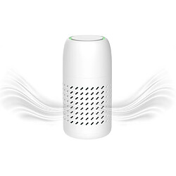 Acheter Purificateur d'air pour La Maison avec HEPA Filtre pour Voiture, Maison, La Poussière, PM2.5, filtre à Air pour Les Fumeurs Allergies, Animaux