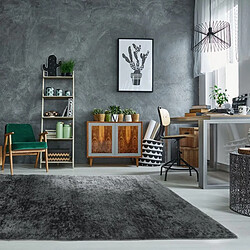 Thedecofactory VIKING - Tapis à poils longs effet soyeux gris 190x200