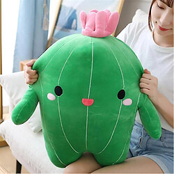 Universal Dessin animé cactus peluche et fourré douce poupée 40 cm pas cher