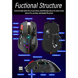 Universal Souris de gaming sans fil ergonomique 2,4 GHz Souris d'ordinateur Gamer Souris d'ordinateur portable Optique Gamer professionnel 12000dpi 1000hz Souris (noir) pas cher