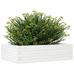 Avis vidaXL Jardinière blanc 90x60x23 cm bois de pin massif