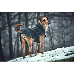 Acheter Hunter Uppsala Softshell Manteau pour Chien, 35 cm, Noir