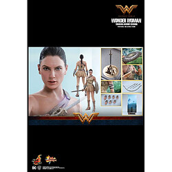 Hot Toys MMS424 - DC Comics - Wonder Woman - Wonder Woman Training Armor