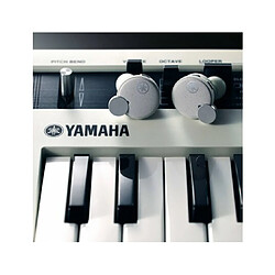 Yamaha Ecouteurs True Wireless TW-E7B WH