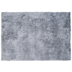 Vente-Unique Tapis shaggy à poils longs - 160 x 230 cm - Argenté - GLITTER