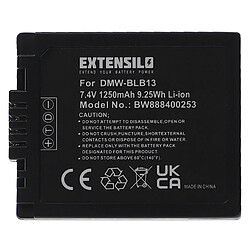 Vhbw EXTENSILO Batterie compatible avec Panasonic Lumix DMC-G1 SLR, DMC-G1KEG-R, DMC-G1R appareil photo, reflex numérique (1250mAh, 7,4V, Li-ion)