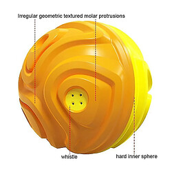 Avis Jouet pour chien en forme de brosse à dents et de molaire, texture météorite