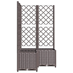 Maison Chic Jardinière,Bac à fleurs avec treillis - pot de fleur Marron 80x80x136 cm PP -GKD91201 pas cher