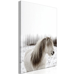 Decoshop26 Tableau toile de décoration murale impression premium en 1 partie sur châssis en bois motif Crinière de cheval 20x30 cm 11_0014986