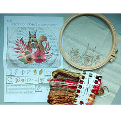 Acheter 2x Bricolage Kits De Couture Broderie Cerceau Point De Croix Artisanat-fleur écureuil