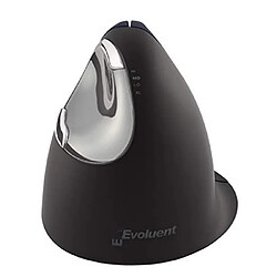 Evoluent VM4RW Souris Verticale sans fil pour Droitier