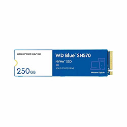 Avis Disque dur Western Digital BLUE 250 GB SSD