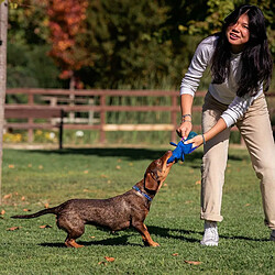 Jouet pour chien Stitch Bleu pas cher