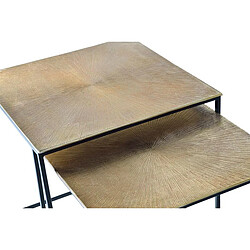 Pegane Set de 2 tables basses en fer coloris bronze