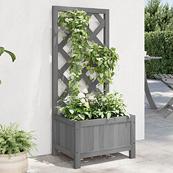 Maison Chic Jardinière,Bac à fleurs avec treillis - pot de fleur gris bois massif de sapin -GKD30786