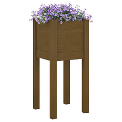 Avis Maison Chic Lot de 2 Jardinières d'extérieur,Bac à fleurs - pot de fleur Marron miel 31x31x70cm Pin massif -GKD65560