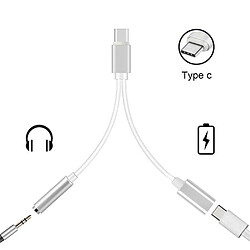 Double Adaptateur cable diviseur Type C prise jack 3.5mm chargeur USB-C Argent pour téléphone smartphone - Visiodirect -