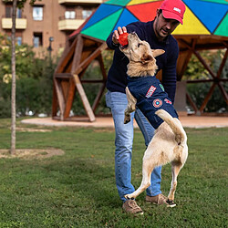 Avis Veste pour chien Marvel Bleu XXS