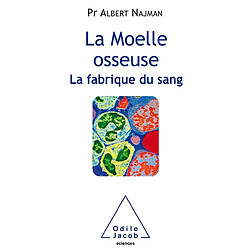 La moelle osseuse : la fabrique du sang