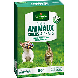 Multitanks Gazon prairie Chiens et chats 500 gr vilmorin