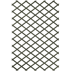 Nature Trellis de jardin 50 x 150 cm Bois Vert