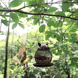 Avis Mangeoire à Oiseaux En Plein Air Perche D'oiseaux En Forme De Chat