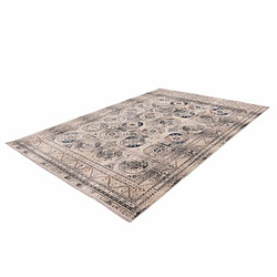 Acheter Paris Prix Tapis Oriental Effet Délavé Anouk Multicolore 200 x 290 cm