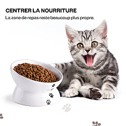 YYHY Gamelle surélevée pour chat 13×9cm/150ml,angle d'inclinaison surélevé en céramique pour protéger la colonne vertébrale du chat, gamelle anti-vomissements pour chat–Blanc pas cher