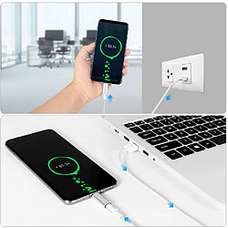 GUPBOO Adaptateur Lightning vers USB-C Type-C,JL439