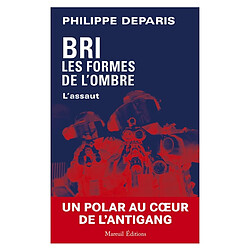 BRI, les formes de l'ombre. Vol. 3. L'assaut - Occasion