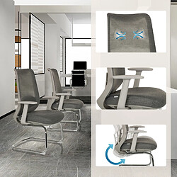 Chaises cantilever MILESTON V Gris hjh OFFICE