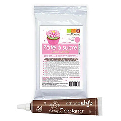 Scrapcooking Pâte à sucre rose arôme vanille + Stylo chocolat