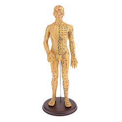 Le modèle masculin féminin d'acupuncture et de Moxibustion joue doux masculin de 50CM