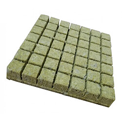 5pcs Hydroponic Sponge Soilless Hydroponic Cultivez des Plantes 36x40mm pas cher