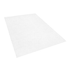 Beliani Tapis blanc 200 x 300 cm DEMRE