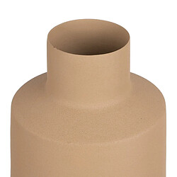 Avis BigBuy Home Vase 18 x 18 x 43,5 cm Beige Fer