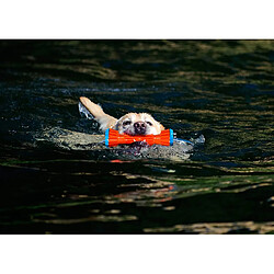 Avis Chuckit Rugged Bumper Jouet Flottant/Résistant pour Chien