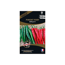 Sanrival Graines potagères premium piment Fort Impala