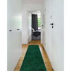 Acheter RUGSX Tapis, le tapis de couloir SOFFI shaggy 5cm bouteille verte - pour la cuisine, l'antichambre, le couloir 60x250 cm