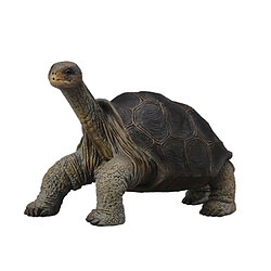 Figurines Collecta Figurine Tortue géante des Galapagos