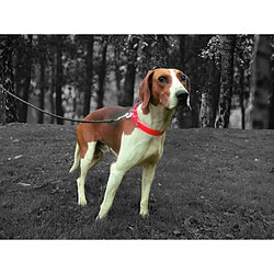 Avis Yago Collier de chasse - Orange Fluo - Ultra Résistant pour Chien