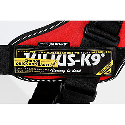 Julius-K9 IDC-Power Harnais pour Chien Drapeau Américain Taille Baby 1