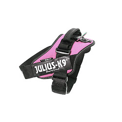 Julius-K9 IDC-Power Harnais pour Chien Rose Taille 2